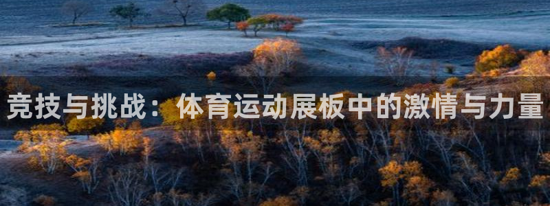 vsport体育官网下载平台是正规平台吗知乎:竞技与挑战:体