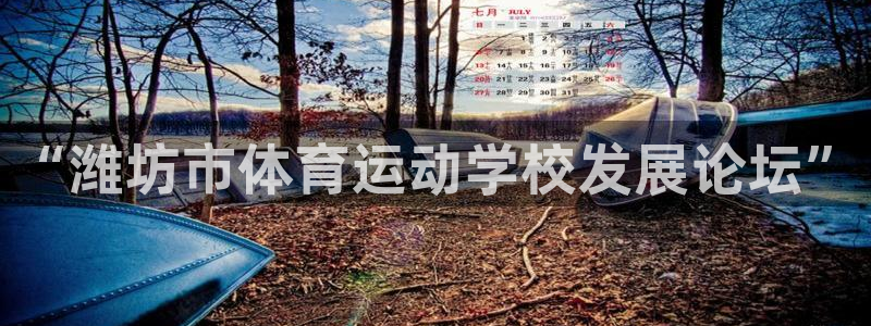 vsport体育官网下载平台注册流程视频:“潍坊市体育运动学