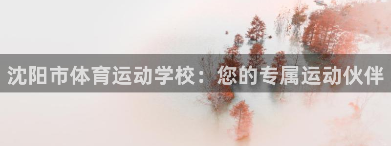 vsport体育官网下载招商电话是多少:沈阳市体育运动学校: